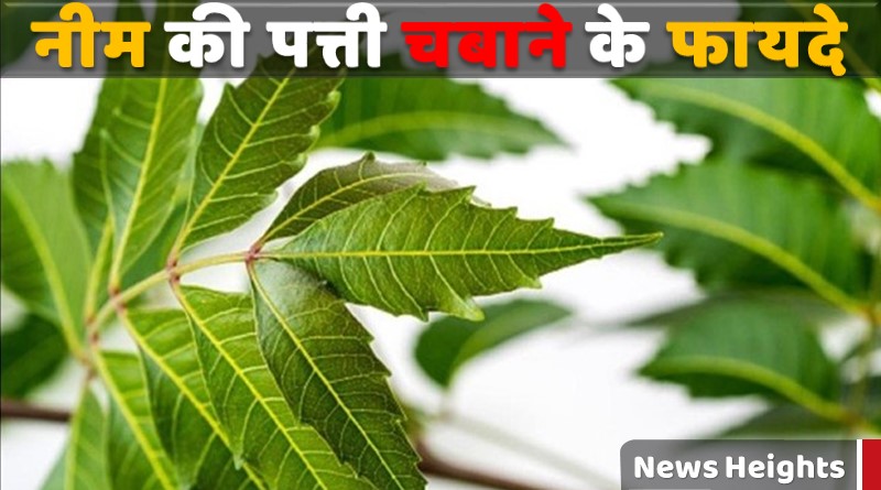 Benefits of Neem Leaves in Hindi