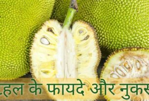 Kathal Benefits and Side Effects in Hindi