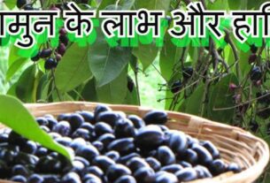 जामुन खाने के फायदे और नुकसान Jamun Khane ke Fayde aur Nuksan in Hindi