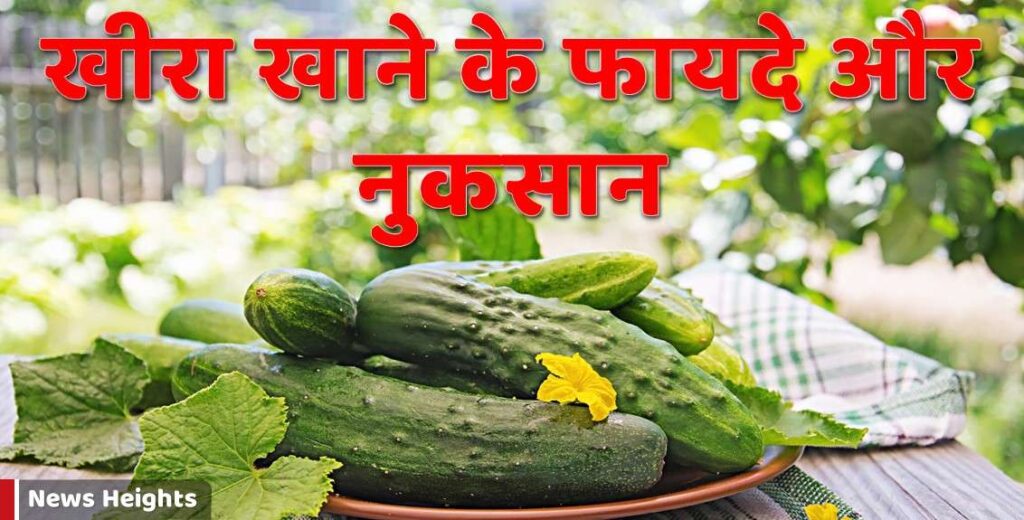 खीरा खाने के फायदे और नुकसान व खीरे के सेवन का सही तरीका Kheera